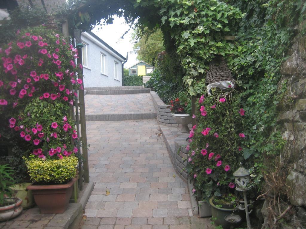 Ashleigh House Bed & Breakfast Monaghan Exterior photo